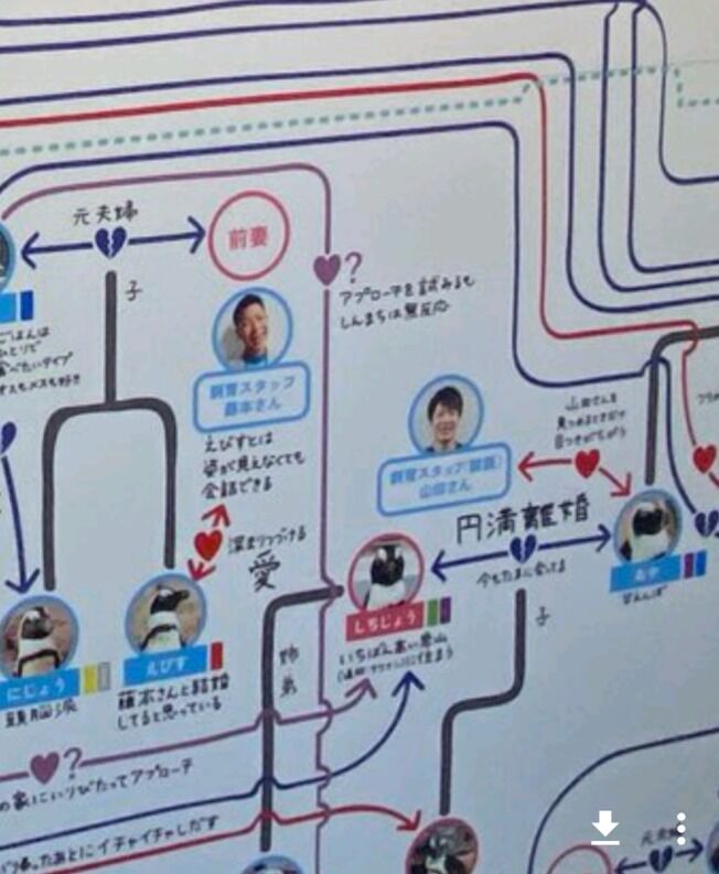 外国人 京都水族館には細かすぎるペンギン相関図があるらしいぞ 海外の反応まとめ 6月23日朝分 Fate雑記 士凛特化 あるふぁ 外国人 京都水族館には細かすぎるペンギン相関図があるらしいぞ 海外の反応まとめ 6月23日朝分 Fate雑記 士凛特化 あるふぁ