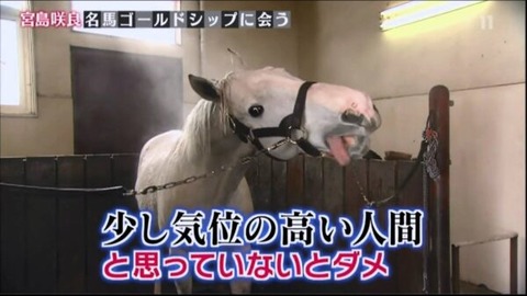 Fate雑記 士凛特化 あるふぁ ゴールドシップ