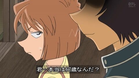 アニメ感想スレ 名探偵コナン 第1019話 事件そっちのけで赤井兄妹の攻防 コナン君 遂に領域外の妹の本当の意味に気付く Fate雑記 士凛特化 あるふぁ