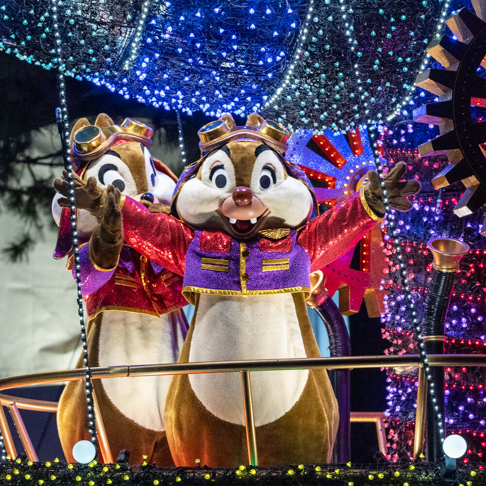 9月度も1日当選 年パス入園抽選 ひとりでディズニー行けるもん 9月度も1日当選 年パス入園抽選 ひとりでディズニー行けるもん