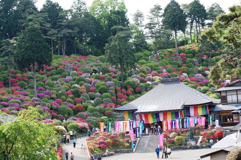つつじが綺麗な青梅 塩船観音と薬王寺 片肺エンジンのhappy Flighit Blog つつじが綺麗な青梅 塩船観音と薬王寺 片肺エンジンのhappy Flighit Blog
