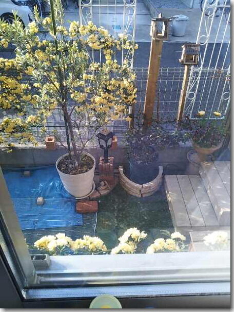 モッコウバラ 片肺エンジンのhappy Flight Blog