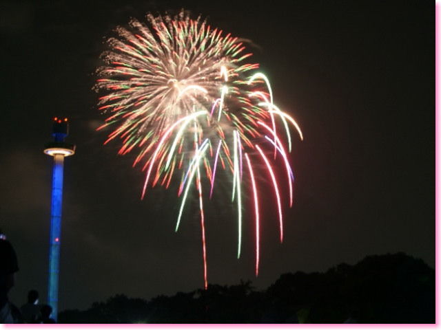 片肺エンジンのhappy Flight Blog 狭山公園からみた 西武園花火大会 しょの2 片肺エンジンのhappy Flight Blog 狭山公園からみた 西武園花火大会 しょの2