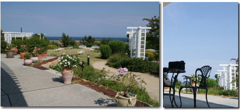 百合と紫陽花が見頃 淡路島 国営明石海峡公園 特集その2 片肺エンジンのhappy Flighit Blog 百合と紫陽花が見頃 淡路島 国営明石海峡公園 特集その2 片肺エンジンのhappy Flighit Blog
