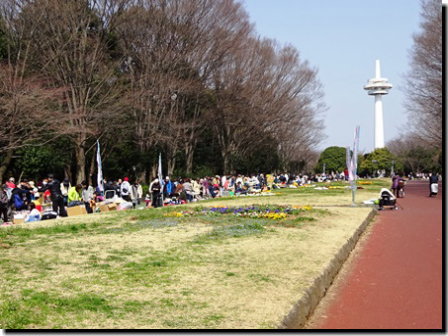 フリマと遊具 春の所沢航空記念公園 片肺エンジンのhappy Flighit Blog フリマと遊具 春の所沢航空記念公園 片肺エンジンのhappy Flighit Blog
