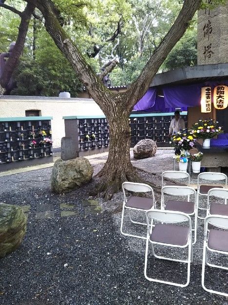 わんこ1周忌お参りと深大寺そば 片肺エンジンのhappy Flight Blog