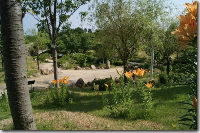 百合と紫陽花が見頃 淡路島 国営明石海峡公園 特集その2 片肺エンジンのhappy Flighit Blog 百合と紫陽花が見頃 淡路島 国営明石海峡公園 特集その2 片肺エンジンのhappy Flighit Blog
