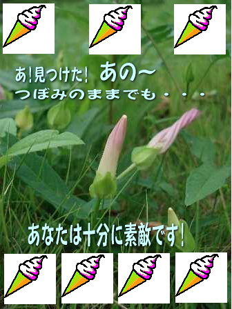 086つぼみのままでも 片肺エンジンのhappy Flight Blog