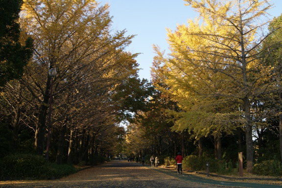 紅葉が綺麗だった所沢航空記念公園 片肺エンジンのhappy Flighit Blog 紅葉が綺麗だった所沢航空記念公園 片肺エンジンのhappy Flighit Blog