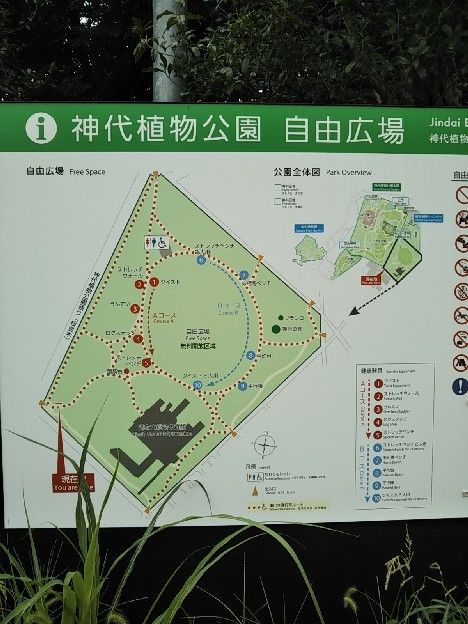 わんこ1周忌お参りと深大寺そば 片肺エンジンのhappy Flight Blog