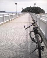 竹島行