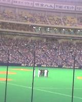野球観戦