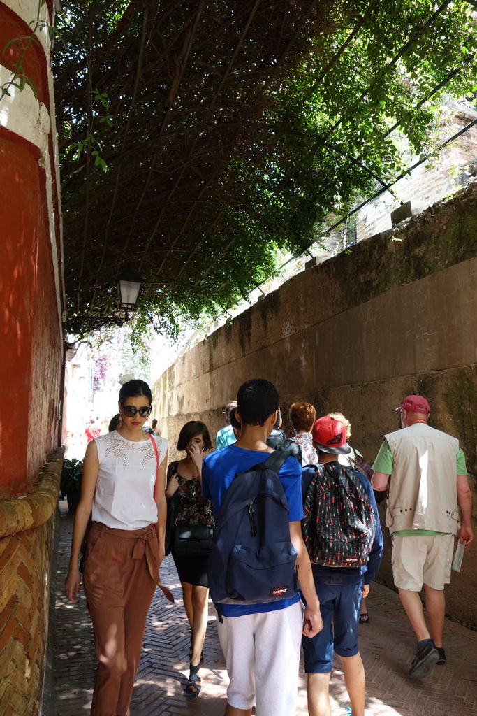 スペイン一人旅12 闘牛は意外と残酷 貧乏男の海外ひとり旅2