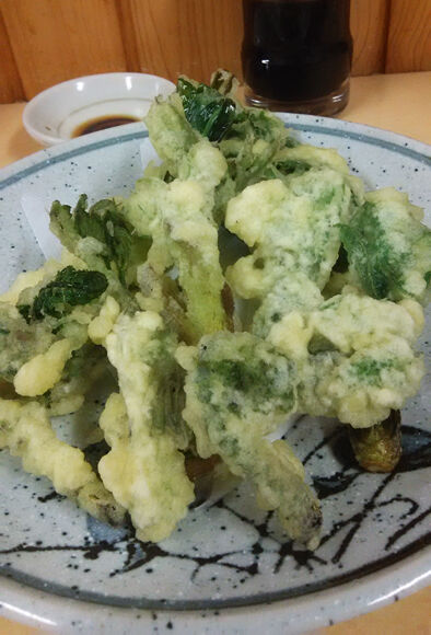 山菜の天ぷら 長野県岡谷市 春の旬 山菜をガッツリといただく マイケルオズの あの町この味 ひとり旅