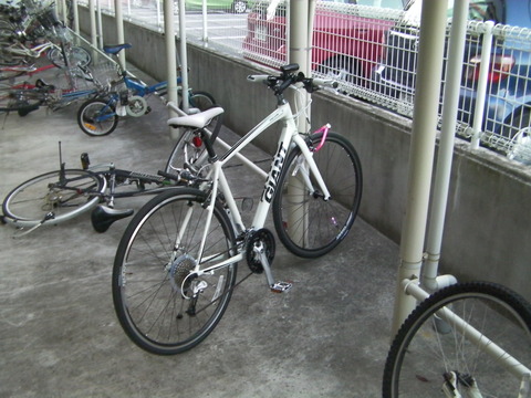 SANY0145