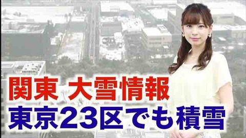 ＄215 雪、積もりませんでした