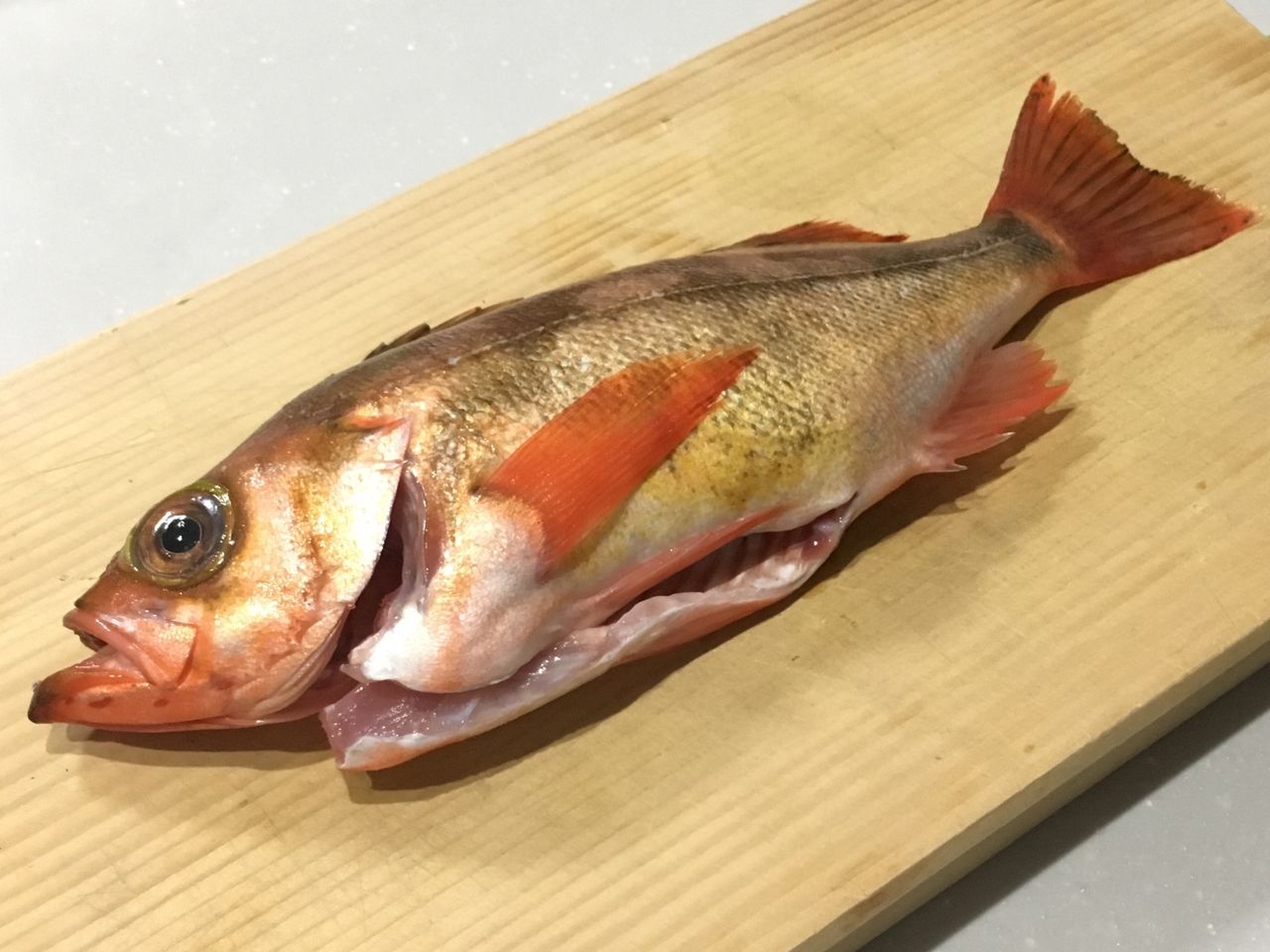 高級魚レベル メバルの塩焼きがおいしすぎた あきたとさかな