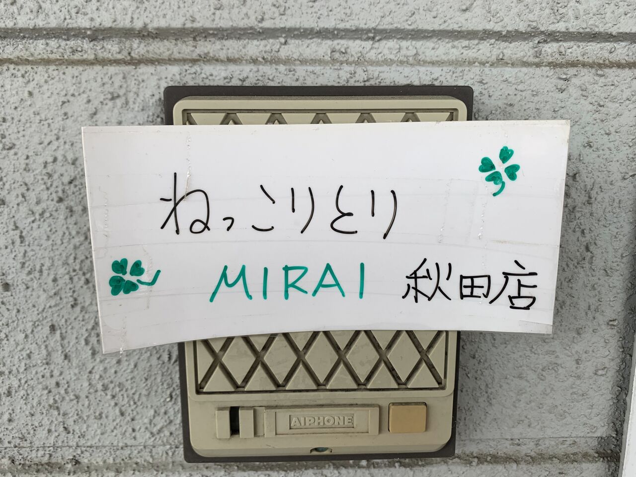 秋田で話題の ねっこりとり あきたとさかな 秋田で話題の ねっこりとり あきたとさかな