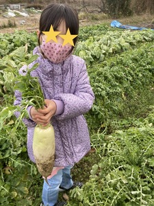 image_6487327 (15)