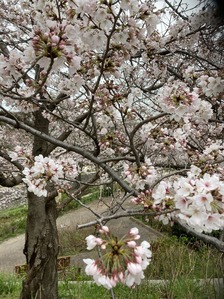image_123927839 (5)