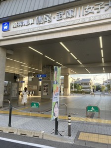 image_123927839 (25)