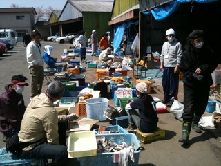 写真 2011-04-16 10 33 09