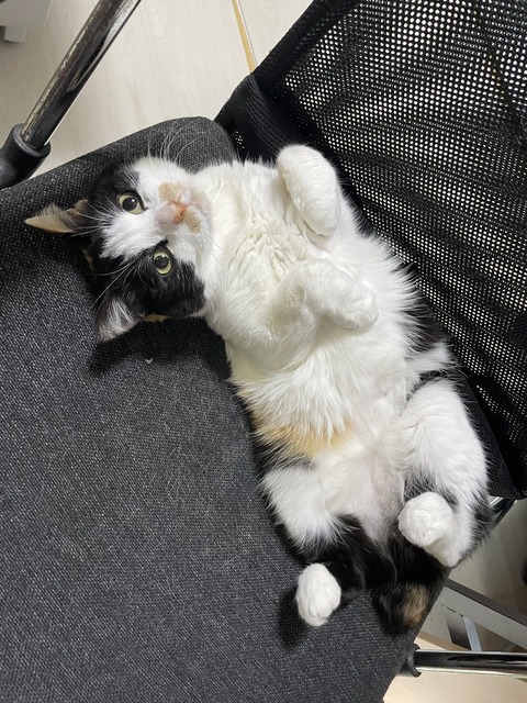 45EF9288-6E36-4925-92FD-196C9E969EA9