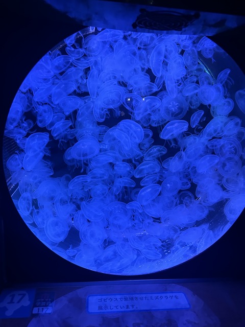 20250128104928_35IMG_1879