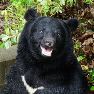 DSC03635 - コピー