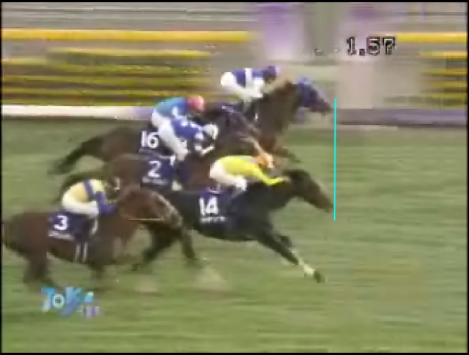 激闘 天皇賞 ウオッカ Vs ダイワスカーレットのゴール写真はコレ 競馬で小遣い稼ぎ 激闘 天皇賞 ウオッカ Vs ダイワスカーレットのゴール写真はコレ 競馬で小遣い稼ぎ