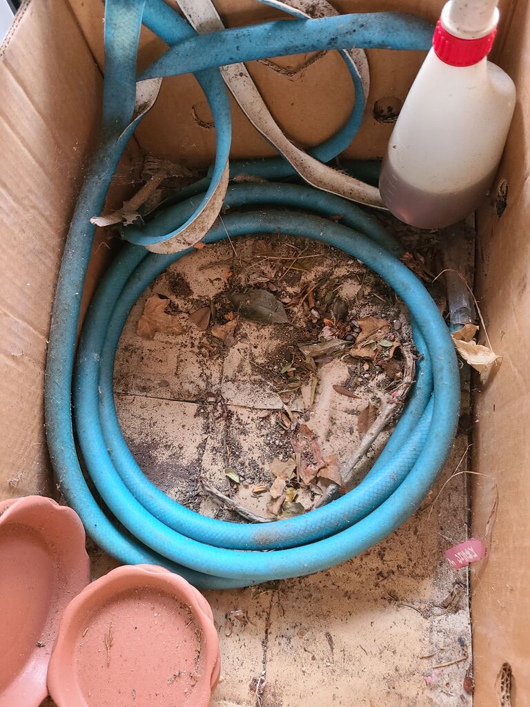 大量のダンゴムシの死骸画像有り ガレージと本棚 腹黒ひつじのゴミ屋敷脱却ブログ