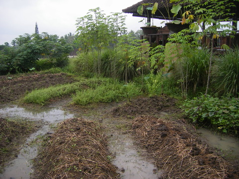 IMGP4623