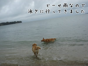 ±«¼Ì¿¿£±