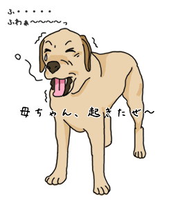 2¥¨¥Ó¥¹
