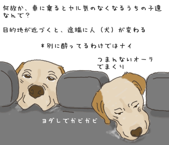 車内