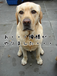 取調べエビス2