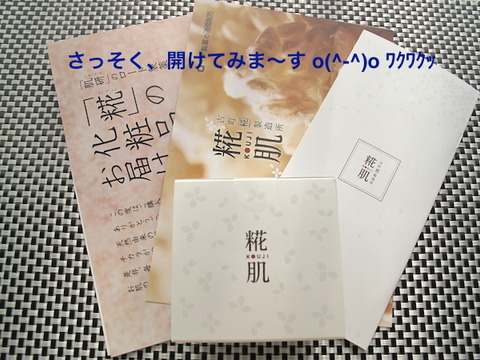 こうじはだlive02