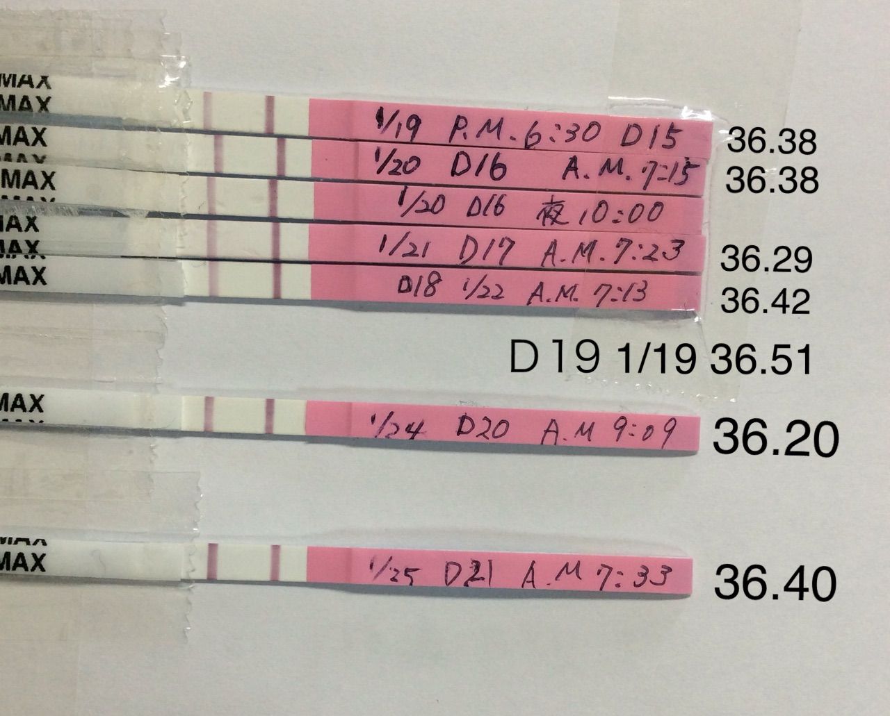 ｄ23 排卵検査薬 高温期に入りました 猫と旦那と子供とワタシ
