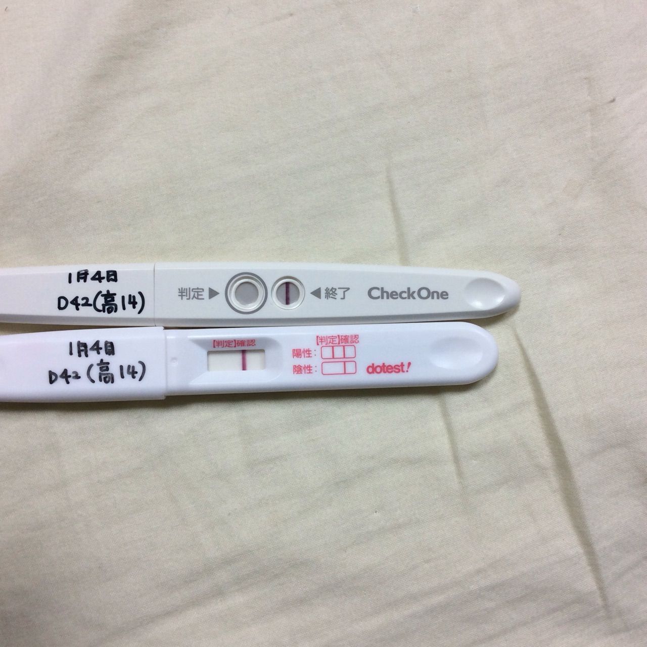 d42 高温期14 フライング 結果 猫と旦那と子供とワタシ d42 高温期14 フライング 結果 猫と旦那と子供とワタシ