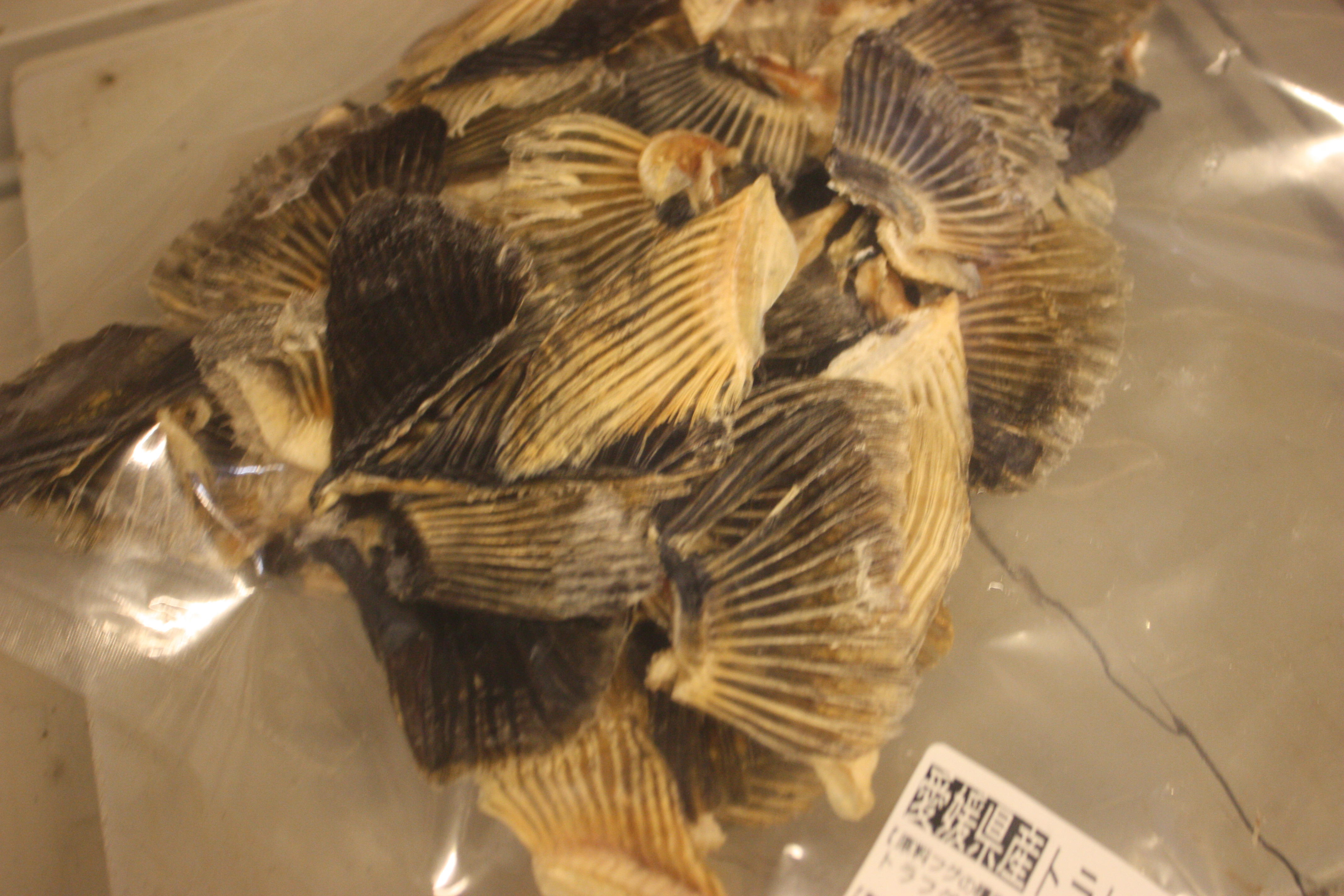 ヒレ酒 小諸本町 ご馳走家火付盗賊 麺賊夢我夢中 大将ブログ