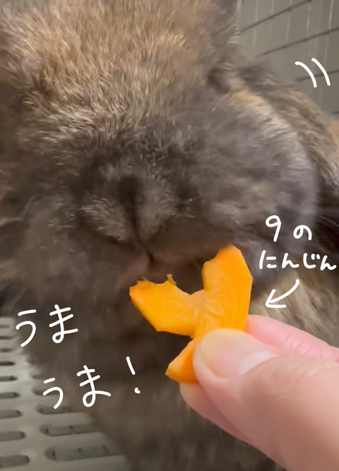 532DB30D-9C2F-48B9-BF71-378886D92FCB