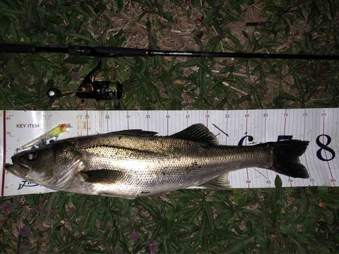 FullSizeRender