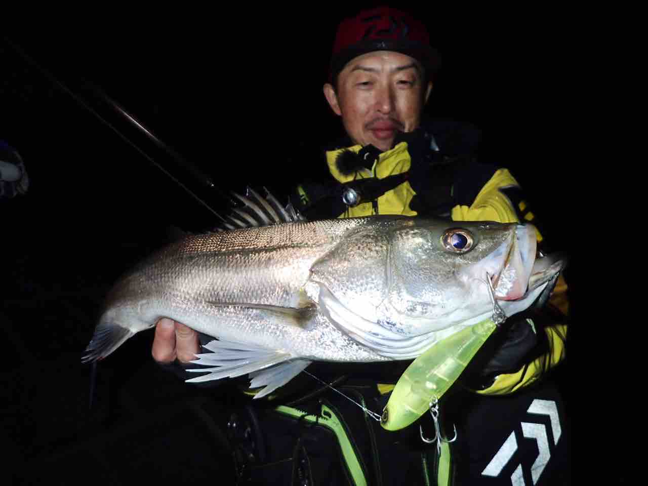 ダイワ公式youtube Salt Lure Channel と最近の釣果 My Hobby Style 釣れない釣りは慣れてますpart2