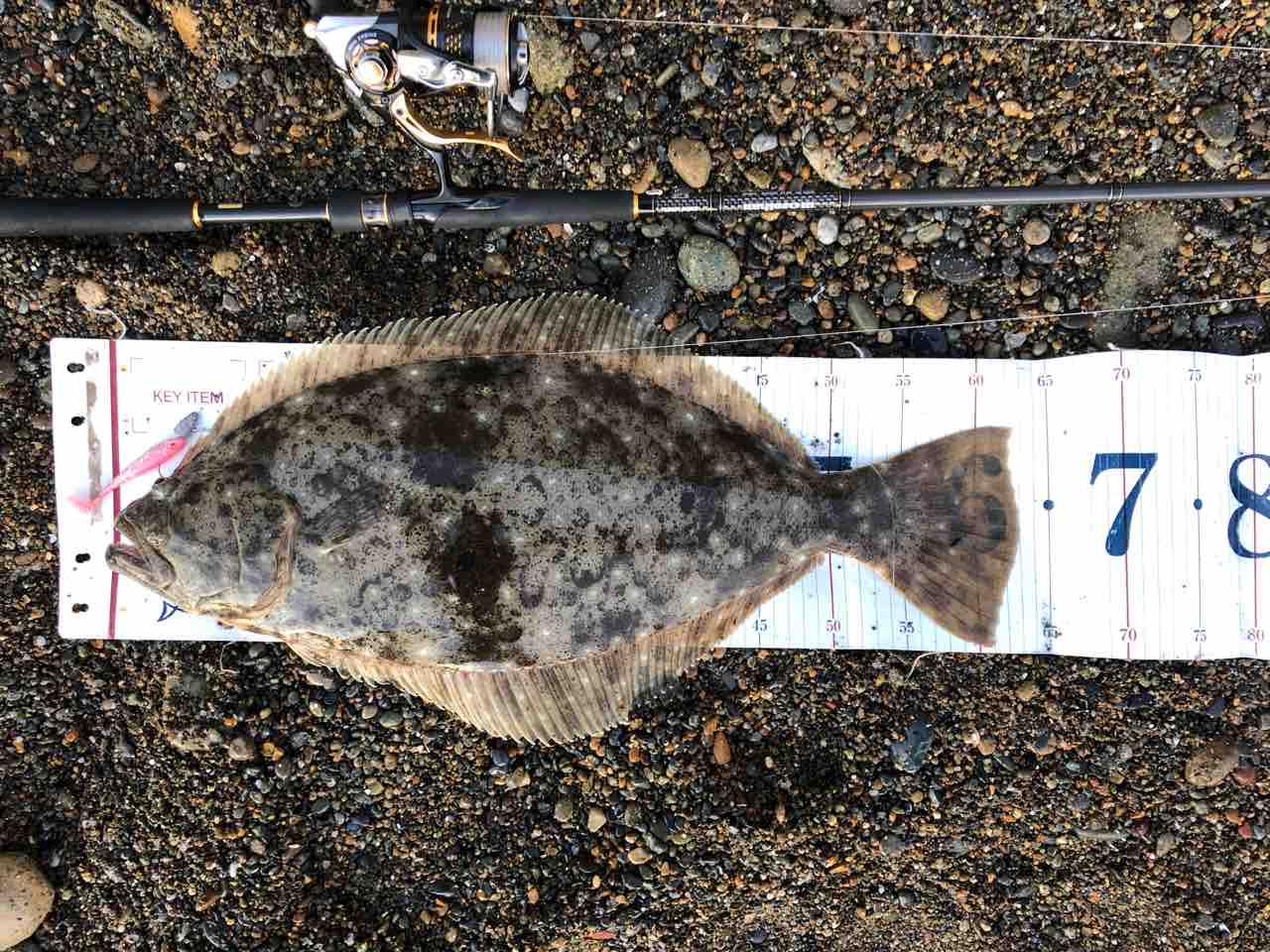 常磐サーフヒラメ My Hobby Style 釣れない釣りは慣れてますpart2