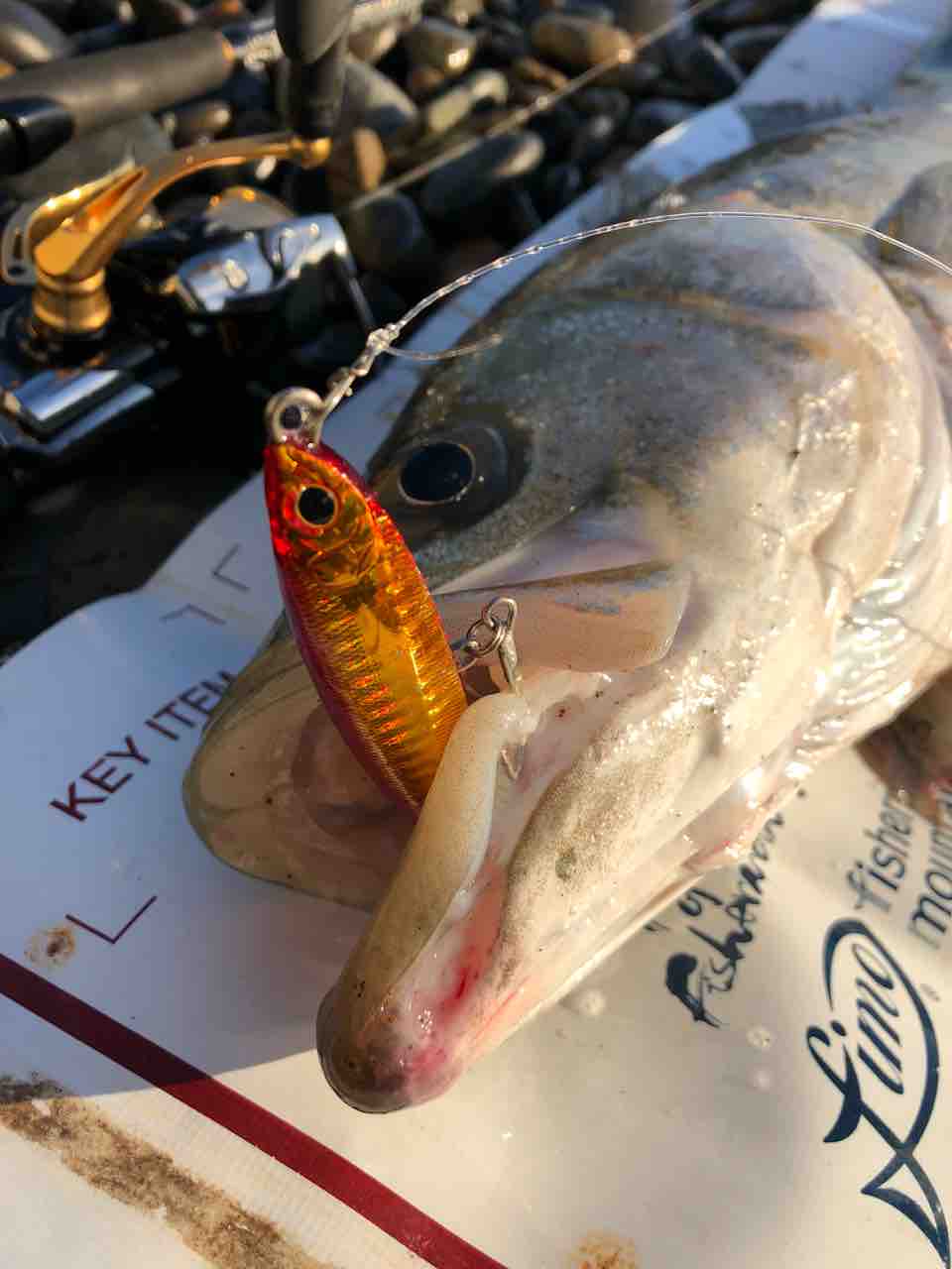 サーフ ヒラメ シーバスw My Hobby Style 釣れない釣りは慣れてますpart2