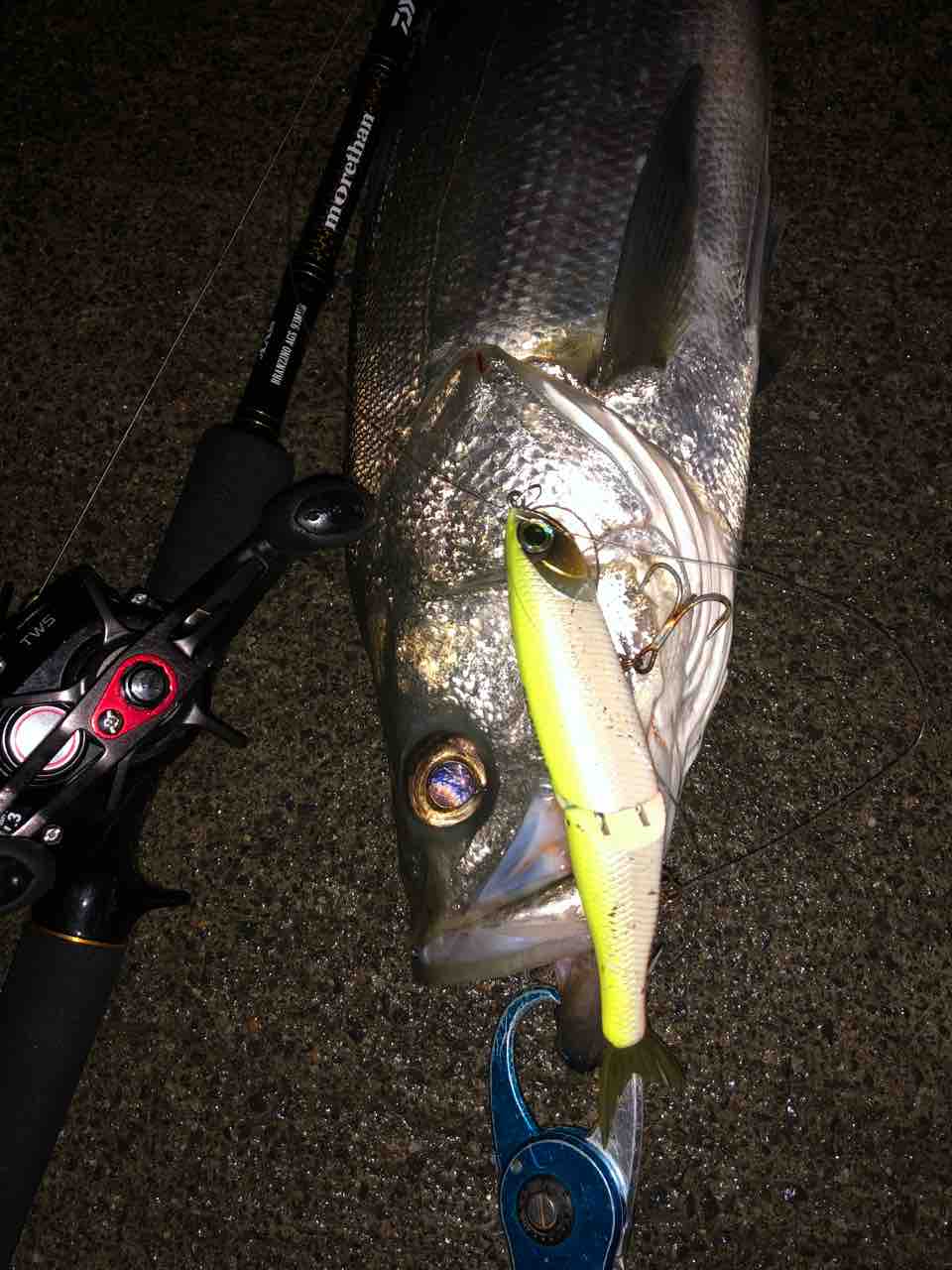 今週の釣果 My Hobby Style 釣れない釣りは慣れてますpart2 今週の釣果 My Hobby Style 釣れない釣りは慣れてますpart2