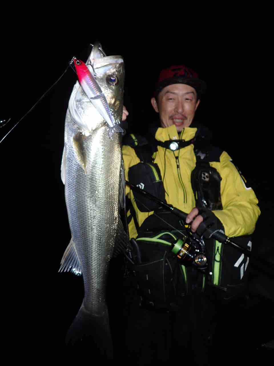 ダイワ公式youtube Salt Lure Channel と最近の釣果 My Hobby Style 釣れない釣りは慣れてますpart2