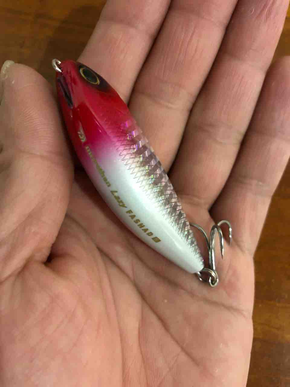 ダイワニュールアー My Hobby Style 釣れない釣りは慣れてますpart2