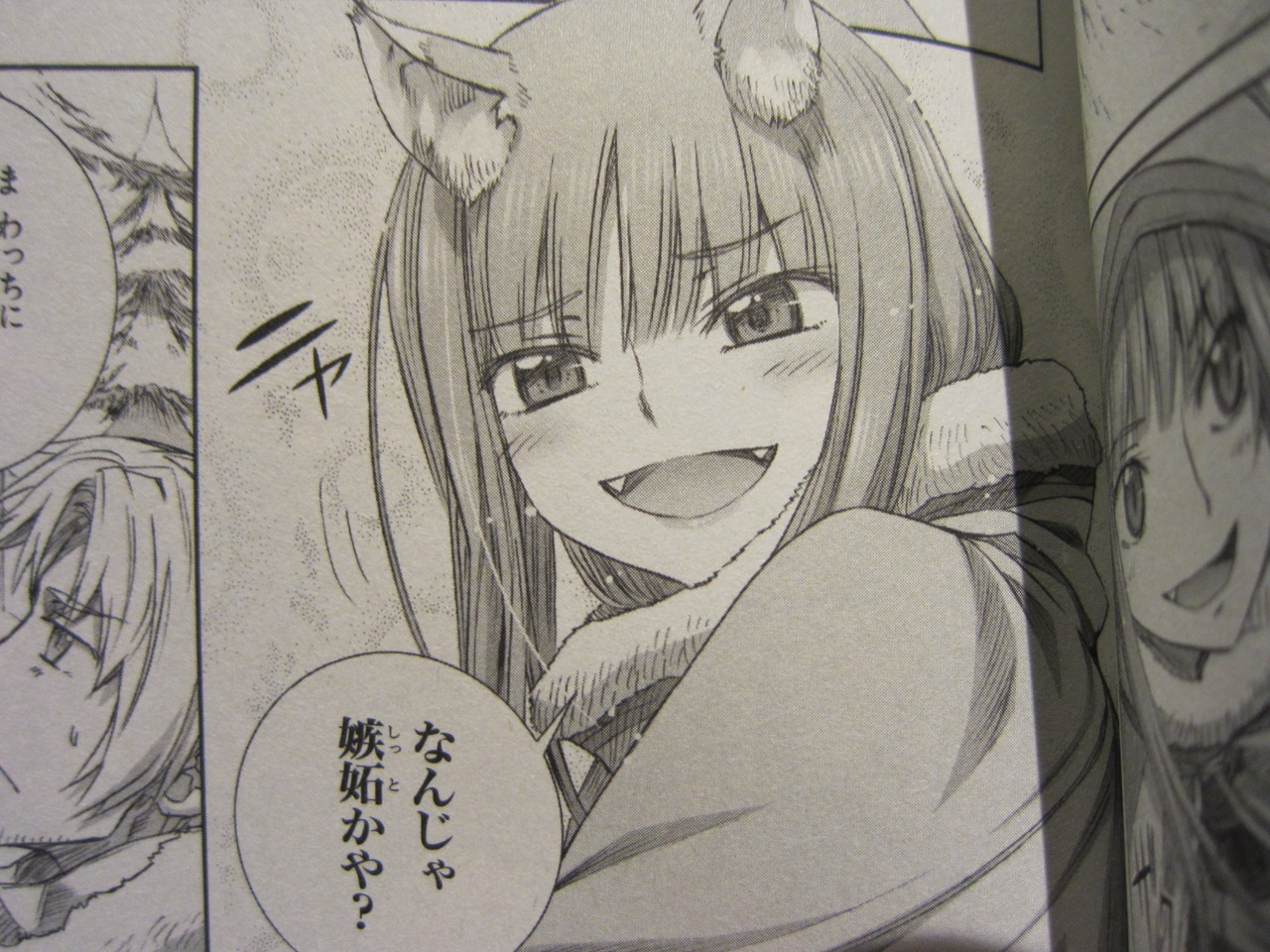 マンガ感想 狼と香辛料 15巻まで ひよこクレストのご注文お決まりでしょうか マンガ感想 狼と香辛料 15巻まで ひよこクレストのご注文お決まりでしょうか