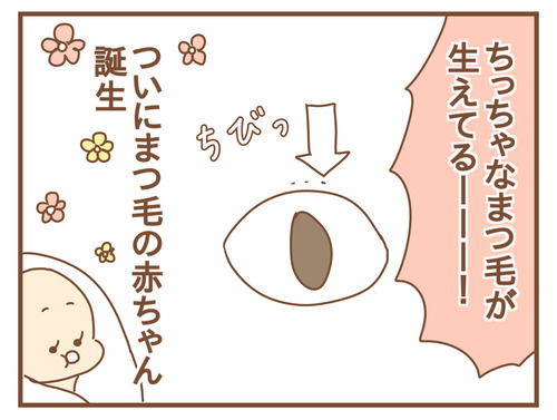 export